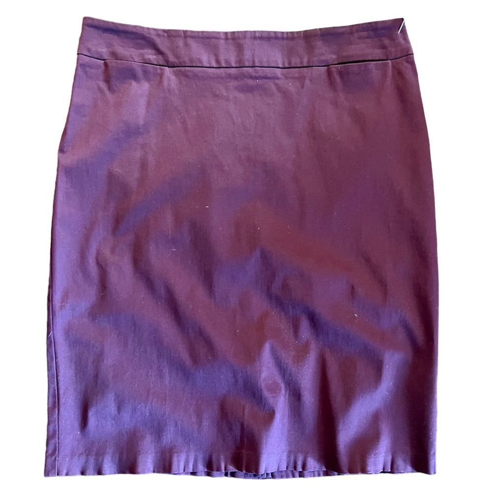 New York & Co Skirt